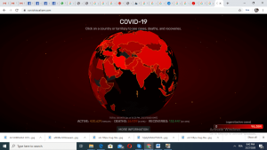 CORONAVIRUS (COVID 19): TOUT SAVOIR - photo 13