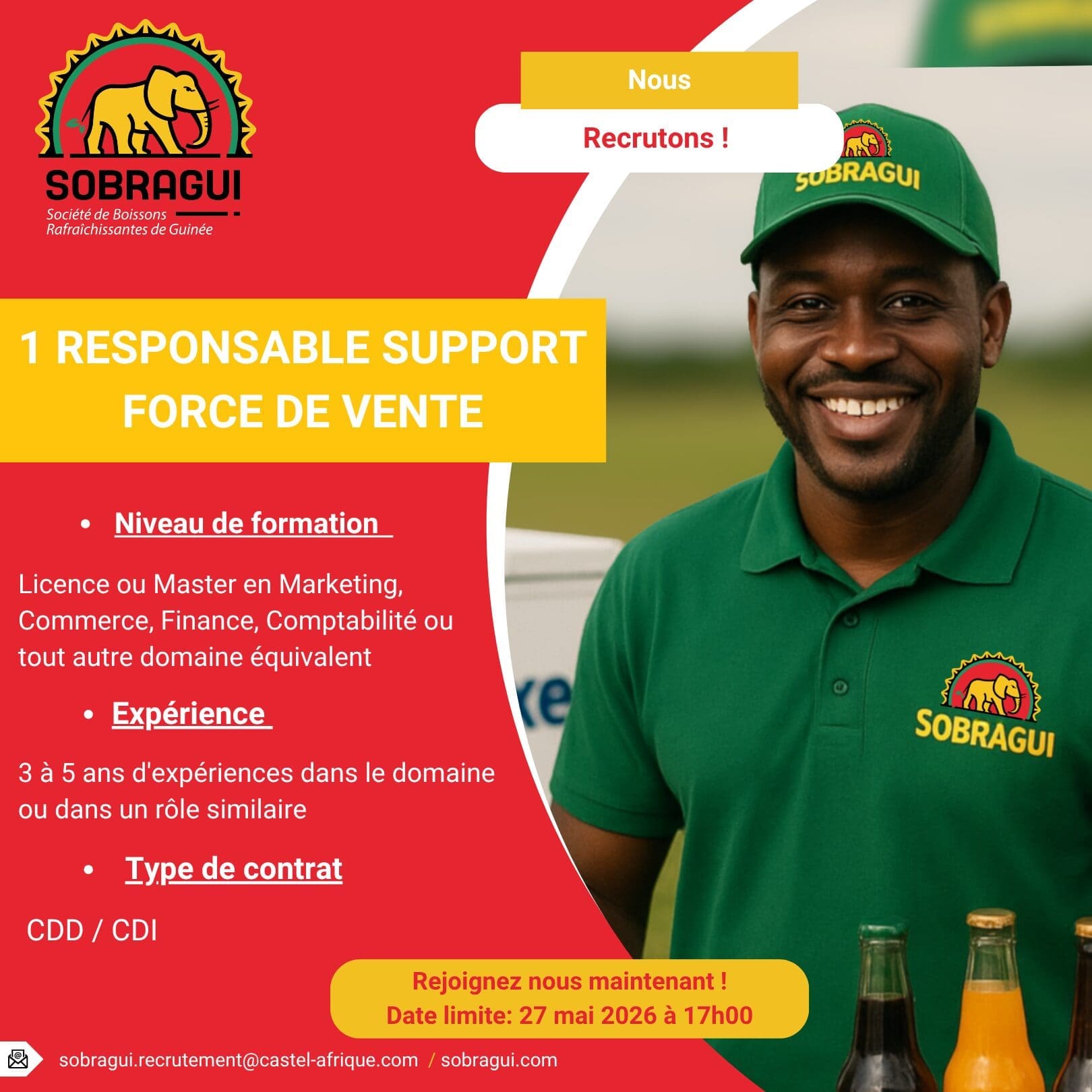 Responsable Support Force de Ventes